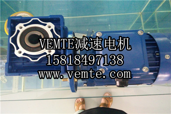 蝸輪減速機，渦輪減速機,RV減速電機 (2)