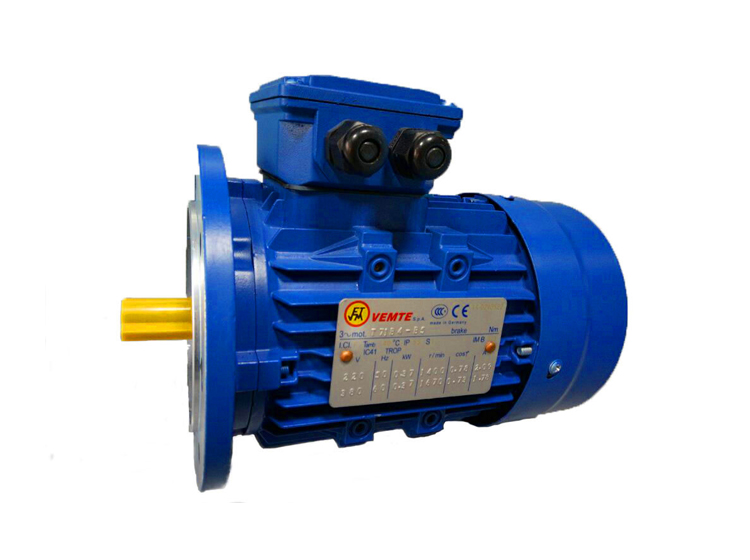 YS系列電機 VEMT調(diào)速電機 YS系列電機 VEMT調(diào)速電機