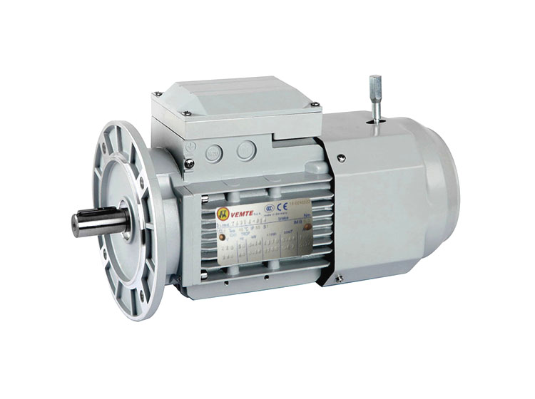 制動電機(jī) VEMT三相異步電動機(jī) 制動電機(jī) VEMT三相異步電動機(jī)